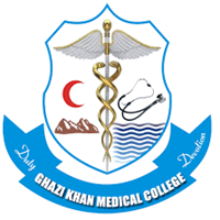 Hospital Partner 25